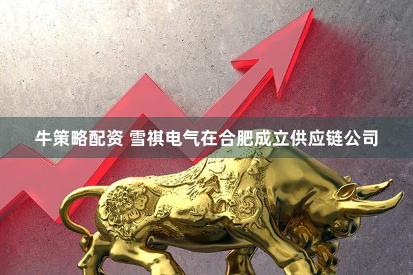 牛策略配资 雪祺电气在合肥成立供应链公司