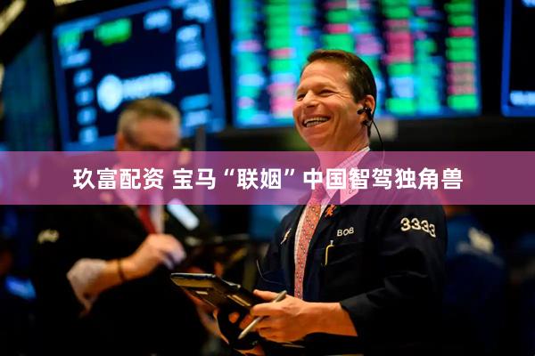 玖富配资 宝马“联姻”中国智驾独角兽