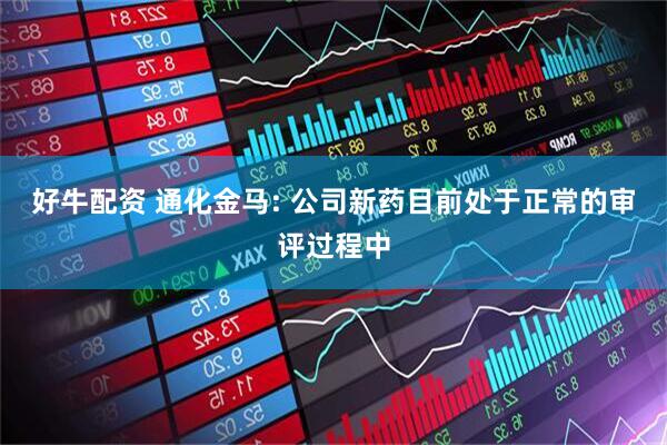 好牛配资 通化金马: 公司新药目前处于正常的审评过程中
